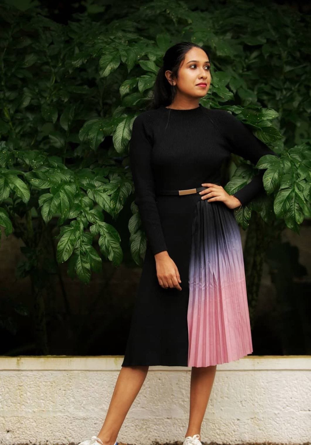 Elizebeth Gradient Pleated Dress image