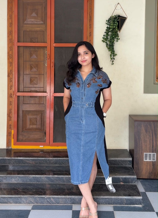 Arsa Denim Dress