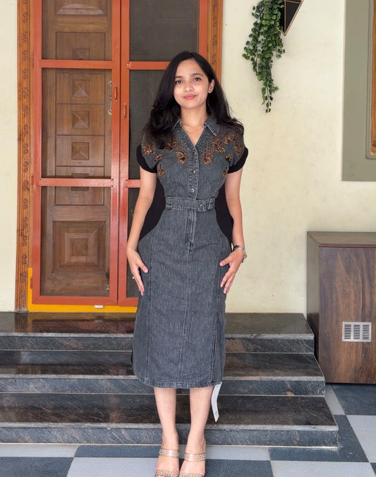 Arsa Denim Dress