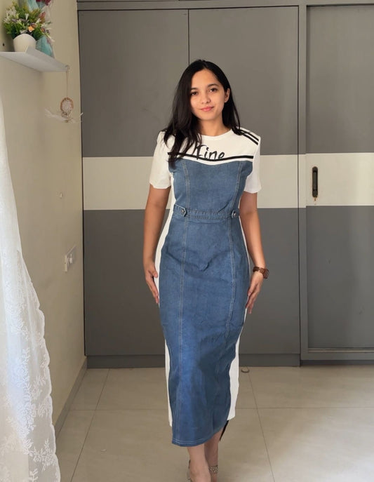 Liva Denim Dress