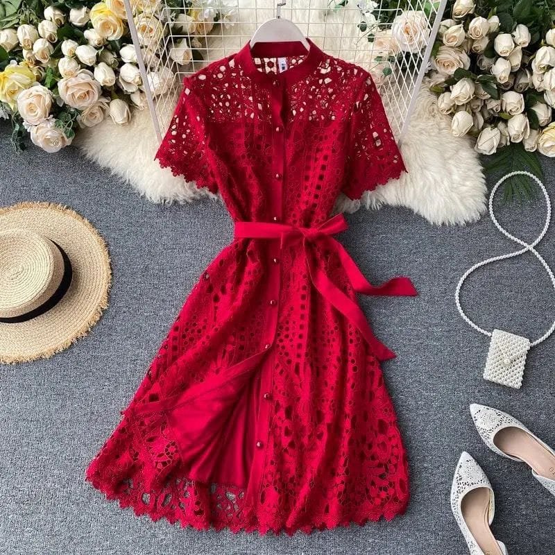 Antonia Lace Dress image 4