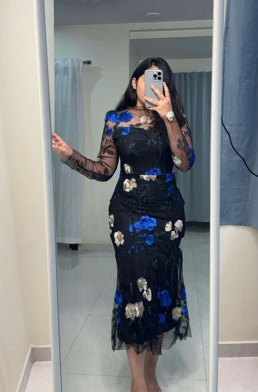 Laya Embroidered Dress - Blue image
